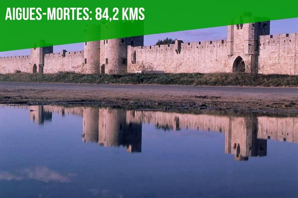 Апартаменти La Cachette De L'Horloge - Ac Clim - Wifi - 100M Palais Des Papes Авіньйон Екстер'єр фото